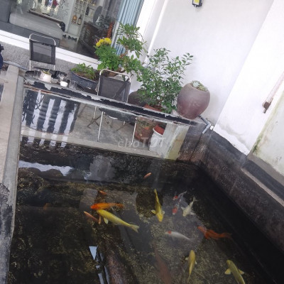 Nhà ở chuyên gia- cán bộ ngay cổng 2 hòa phát