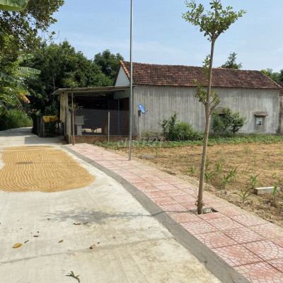 260 triệu sở hữu lô Tư Nghĩa-Nghĩa Lâm cạnh 623B