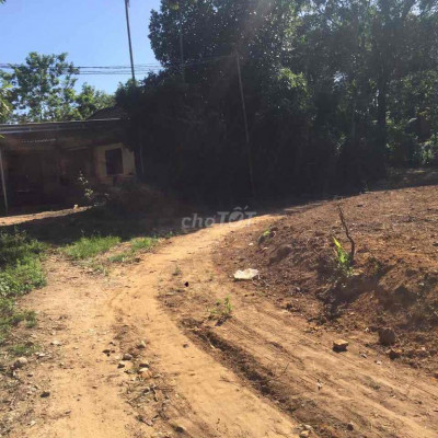 bán đấ nghĩa lâm-quãng ngãi