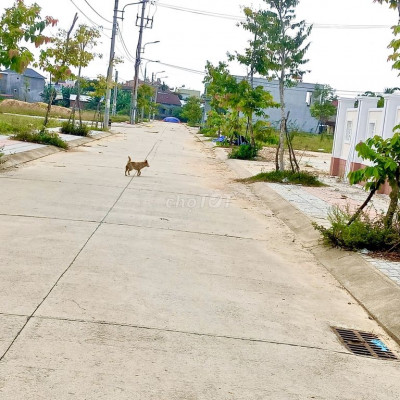 Đất ngay Cầu Châu Ổ Bình Sơn chỉ 6,4 triệu/m2