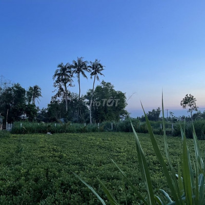 Đất mặt tiền,đất giáp sông Khu du lịch biển Mỹ Khê