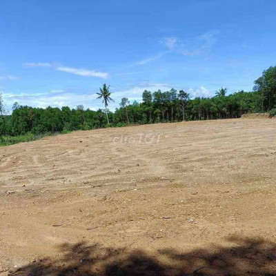 bán đất nghĩa lâm-quãng ngãi