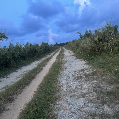 Đất bhk phổ an .