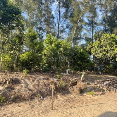 BÁN ĐẤT SÁT BIỂN CHÍNH CHỦ THỔ CƯ DƯỚI 1TY