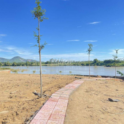 Bán đất biệt thự View sông Trà giá chỉ 299tr/ lô