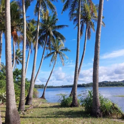 Đất biển sa Huỳnh quảng Ngãi