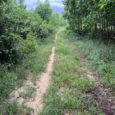 BHK Phổ An gần đường Dung Quất Sa Huỳnh 959m2