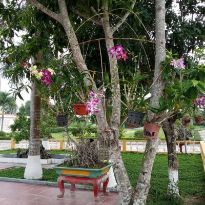 Thích hợp với làm quán ăn, quán nước phục vụ cho