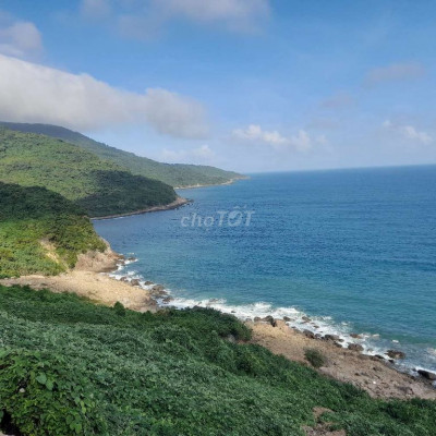 245 tr có 577m2 đất cách biển 850m quy hoạch đất o