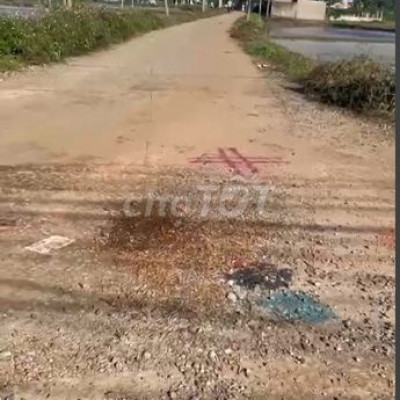 Đất giá rẻ nằm trục đường bê tông ở xã Bình Hòa