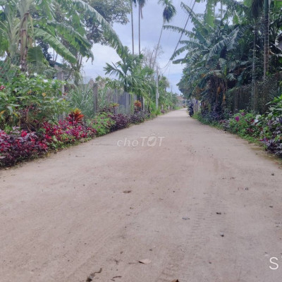 Cần Bán 164m2 Đất Thổ Cư 100% Đã Có Sổ Ở Hành Dũng