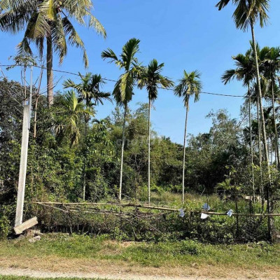 CẦN TIỀN BÁN GẤP BÁN THÁO 210M2 FULL THỔ