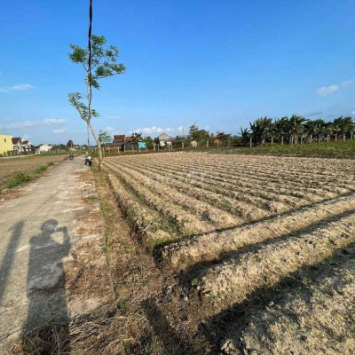 Chính chủ bán đất biển đường ven biển trong KDC