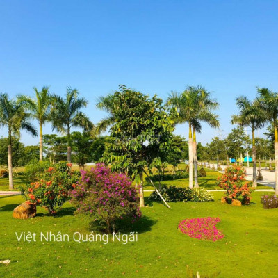 Đất nền cạnh KCN VSIP Qngai giá cực ưu đãi