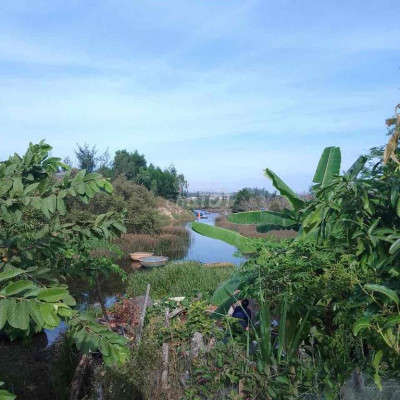 Lô view sông trà bồng, Mặt bằng Bình Thạnh