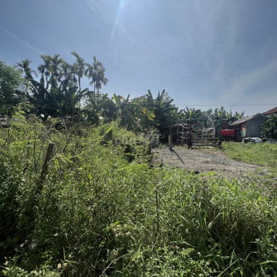 Đất sổ đỏ chính chủ, xã Đức Chánh, H. Mộ đức,QNgai