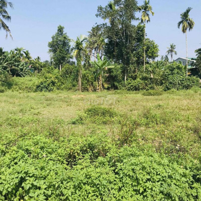 ĐẤT NGHĨA HÀNH NẰM GẦN BÙNG BINH CHỢ CHÙA
