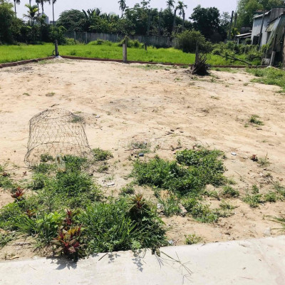 CẦN BÁN LÔ ĐẤT XÃ NGHĨA TRUNG CÁCH ĐƯỜNG LÊ QUÝ ĐÔN 50M