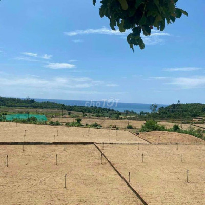 Đất view Biển Quảng Ngãi sổ sẵn ngay bãi tắm