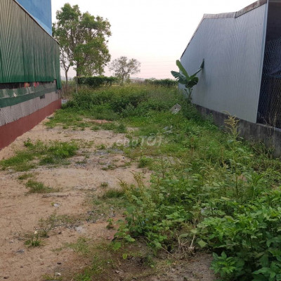 đất hẻm nguyễn bi, thị trấn châu ổ, bình sơn, quảng ngãi