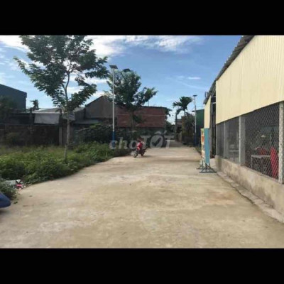 Sao phải chờ lên mới mua- Đất rẻ Hành Trung