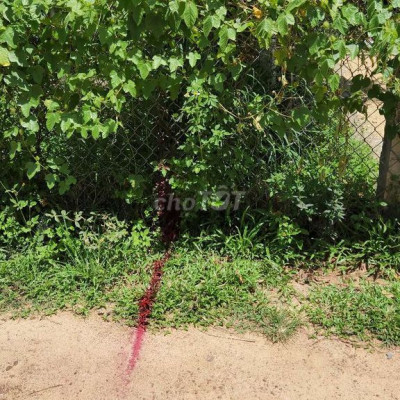 Đất lớn 4000m sạch vuông vức Xã Đức Lân huyện Mộ Đức, có thổ cư