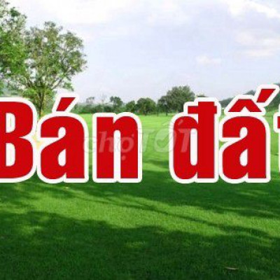 Cần tiền bán nhanh lô đất ở xã Bình Thạnh huyện Bình Sơn