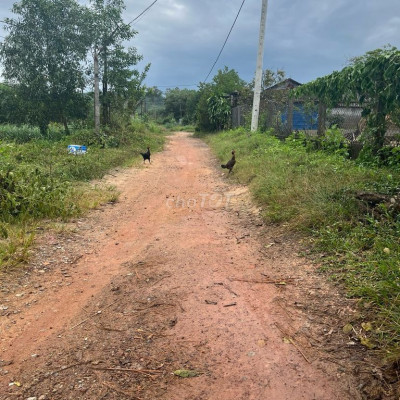 Đất ở tịnh bình