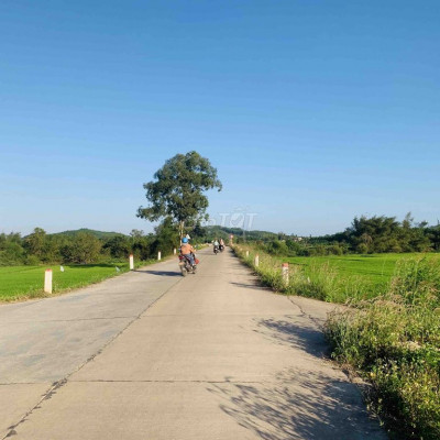 Bán đất gần khu công nghiệp Tịnh Phong – Quảng Ngãi giá chỉ 450 triệu