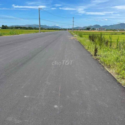 Mặt nhựa y hình , ngang 7,5 x 26 m full Hồng ở Quảng Ngãi  Giá chỉ 130