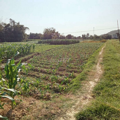 Bán đất 35*15=538,3m2 Tp Quãng Ngãi giá 285 triệu