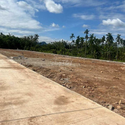 BÁN ĐẤT ĐG 5M, 107M2, 560 TR, PHẠM VĂN ĐỒNG, TT CHỢ CHÙA, NGHĨA HÀNH
