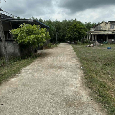 CẦN BÁN GẤP LÔ ĐẤT BÌNH PHƯỚC