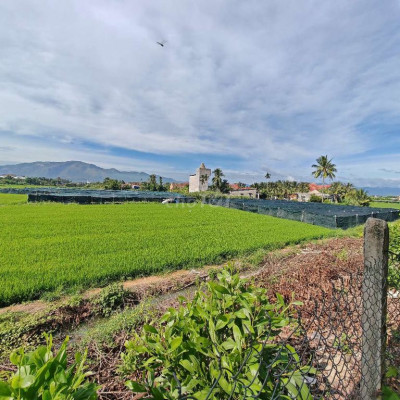 Mình chính chủ đất cần cho thuê để xây nhà xưởng, kho 2000m2 thổ cư