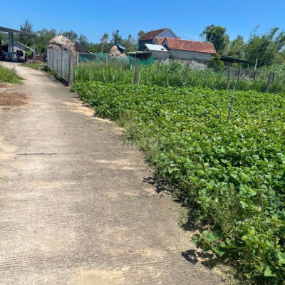 Đất ngộp bán giá rẻ Mộ Đức, Quảng Ngãi