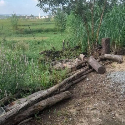 Cần bán lô đất ở, tịnh ấn tây