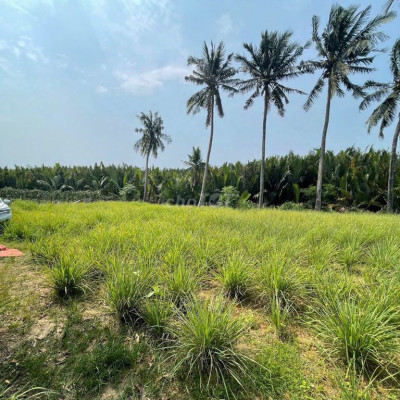 Bán đất mặt tiền - KDL Biển Mỹ Khê - Tịnh Khê - Quảng Ngãi