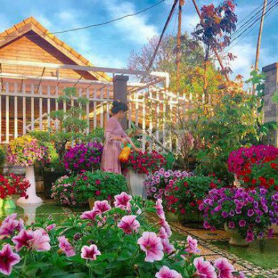 Cần tiền bán nhà vườn nghie dưỡng , đất có sổ đỏ diện tích 1000 m2