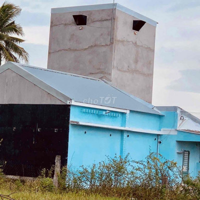 🏠 CẦN BÁN NHÀ NUÔI YẾN ĐANG KHAI THÁC – GẦN TP. QUẢNG NGÃI