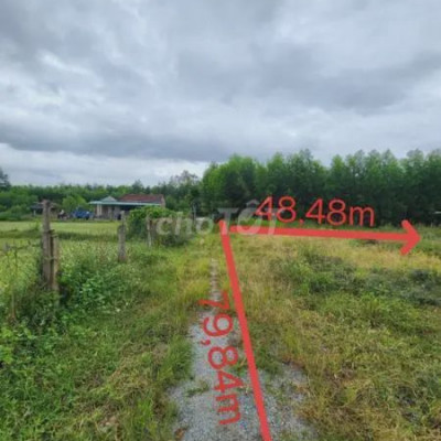 Thanh lý đất thổ cư cực khủng tại xã Tịnh Hiệp, Quảng Ngãi