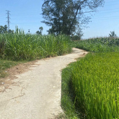 🌿411m2 ĐẤT VƯỜN QH ĐẤT Ở – GIÁ SIÊU RẺ TẠI TP QUẢNG NGÃI CHỈ 99TR