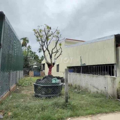 CHỦ ĐI ĐỊNH CƯ NN CẦN BÁN LÔ ĐẤT ĐẸP NỞ HẬU